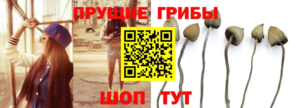 Галлюциногенные грибы мицелий  наркошоп  Бирск  Вход с VPN 